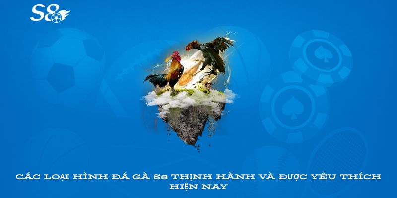 Các loại hình đá gà S8 thịnh hành và được yêu thích hiện nay