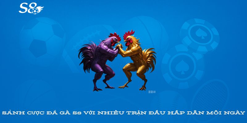 Sảnh cược đá gà S8 với nhiều trận đấu hấp dẫn mỗi ngày