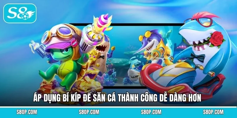 Áp dụng bí kíp để săn cá thành công dễ dàng hơn