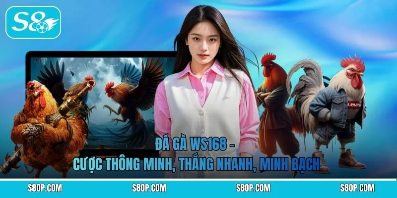 Đá Gà WS168