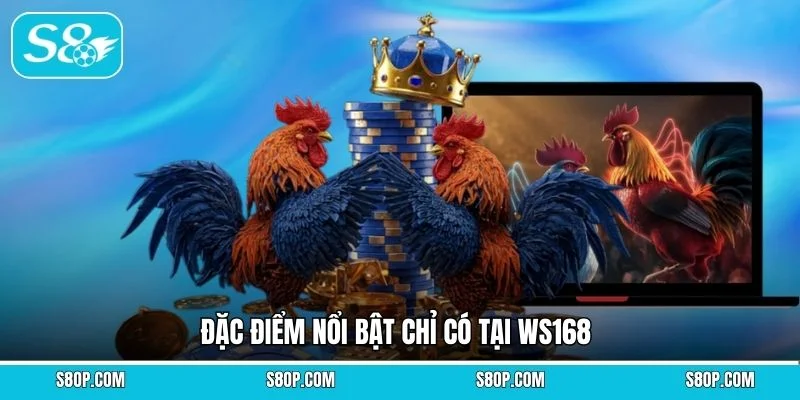 Đặc điểm nổi bật chỉ có tại WS168