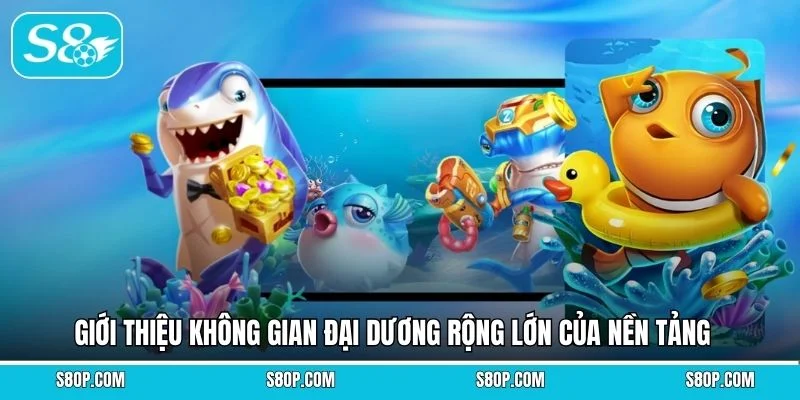 Giới thiệu không gian đại dương rộng lớn của nền tảng 