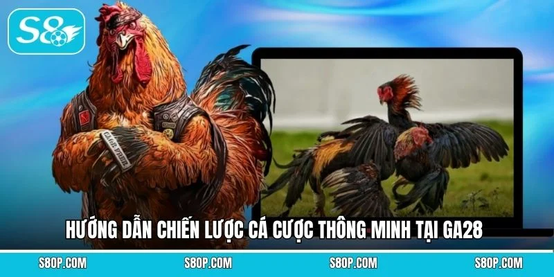 Hướng dẫn chiến lược cá cược thông minh tại GA28