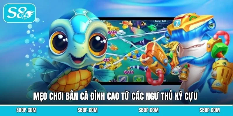 Mẹo chơi bắn cá đỉnh cao từ các ngư thủ kỳ cựu