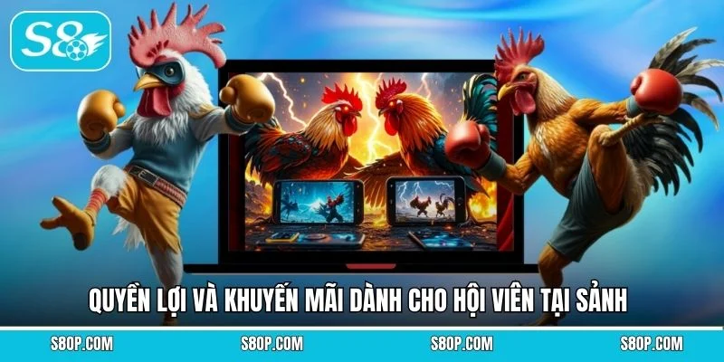Quyền lợi và khuyến mãi dành cho hội viên tại sảnh