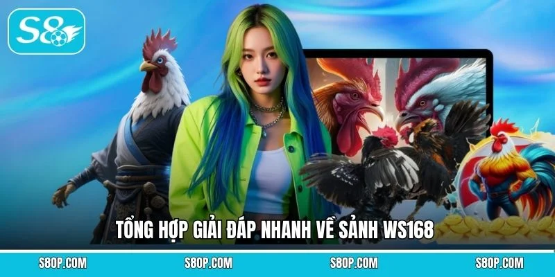 Tổng hợp giải đáp nhanh về sảnh WS168