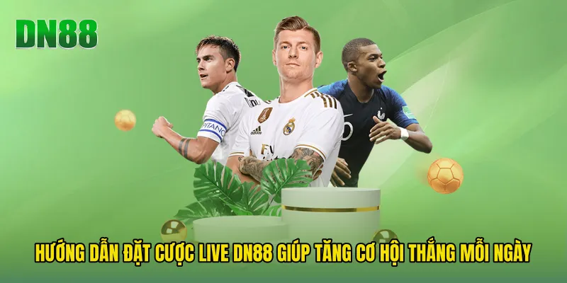 Hướng Dẫn Đặt Cược Live DN88 Giúp Tăng Cơ Hội Thắng Mỗi Ngày